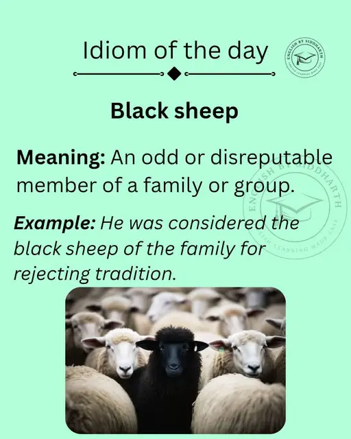 Mouton noir